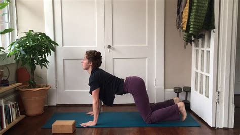Cat/cow alternates between flexion (cat) and extension (cow), but cow can put a lot of strain on your lower or mid back if it isn't done well. Cat/Cow Child's Pose - YouTube