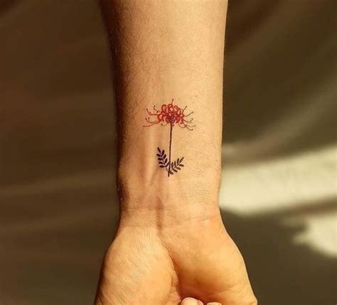 Bồ công anh cây cối hình xăm bản vẽ hoa rồng tatuajes. Top 30 hình xăm hoa Bỉ Ngạn - Ý nghĩa hình xăm bông hoa Bỉ ...