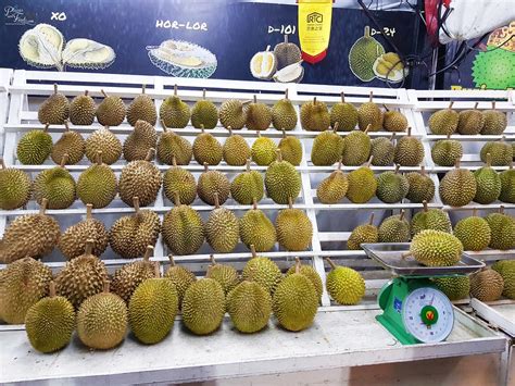 The truth about musang king durian rejected by china these pictures of this page are about:durian musang king. Musang King Durian Prices to Increase Soon