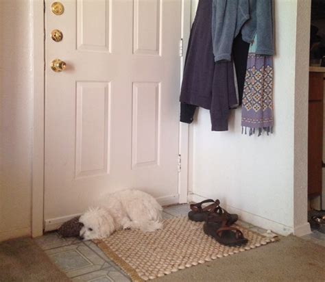 If your wife is scrubbing her social media clean of any evidence of your relationship, it could be a sign that she's actively hiding it in order to make if your wife is using her phone to communicate with her lover, then she is going to be sure to keep it on silent so as to avoid any questions about calls or texts. Waiting for my wife to get home from work. : aww