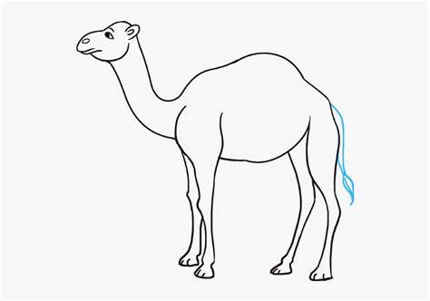 The following step by step drawing tutorial this is simple enough for young kids to follow along. How To Draw Camel - Simple Easy Camel Drawing, HD Png ...