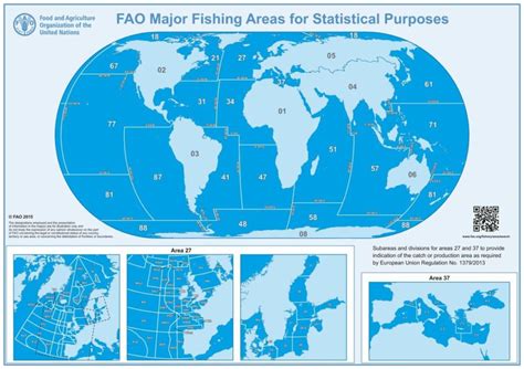 Table 1 describes the marine subareas considered in this. FAO- informacja na rybach. Czym jest i co oznacza dla nas?