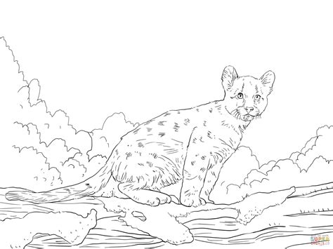 You can download free printable cougar coloring pages at coloringonly.com. Pin on Cougar