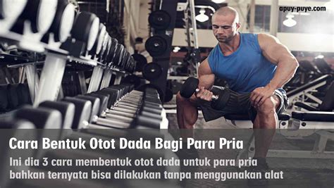 Dari semua teknik yang kami lakukan, posisi. Cara Bentuk Otot Dada Bagi Para Pria Tanpa Alat