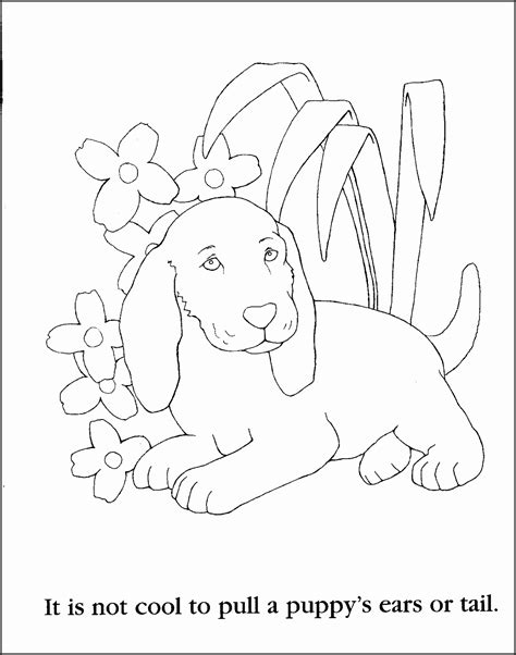 Birthday coloring pages, cars and truck coloring pages are just a few of the printable coloring pages, sheets and pictures in this section. Coloring Pages For 9 Year Olds at GetColorings.com | Free ...