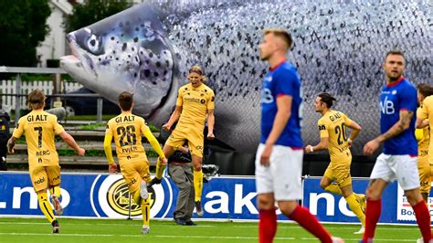 Det ligger flere sau i og ved veibanen. Treningskamp mot Vålerenga / Bodø/Glimt