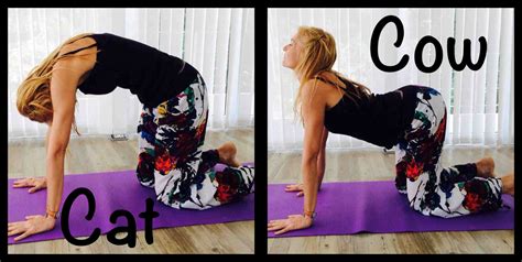 Learn the cat and cow stretch for prenatal yoga from fitness expert cait morth in this howcast workout video. Yoga - Cat and Cow Pose | Santosa Wellness Center