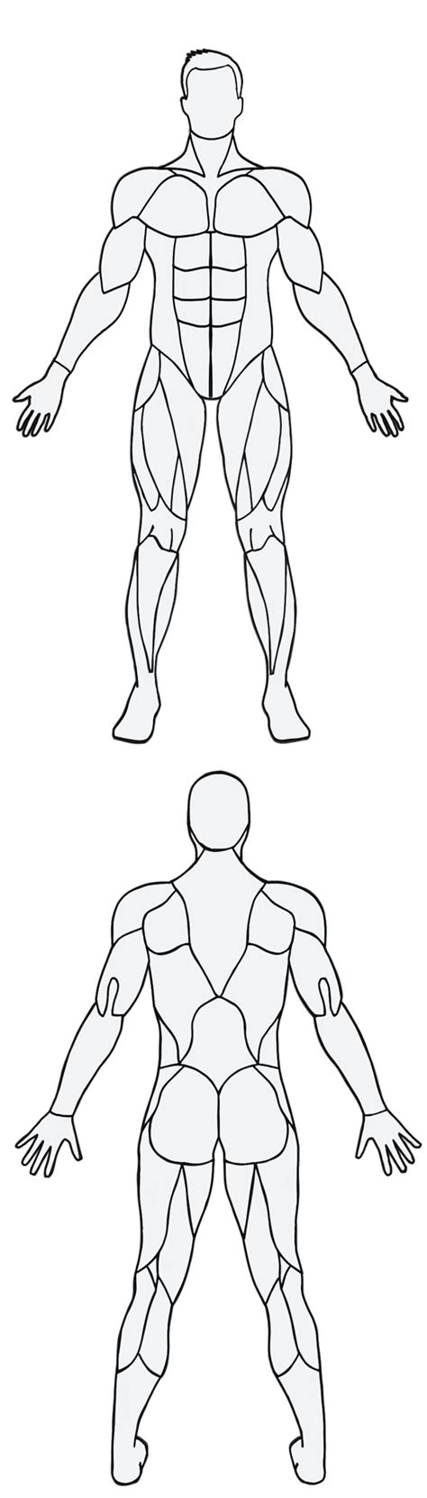 The muscles of the arm anatomical chart does an exemplary job of examining the individual muscles that make up this area of the human body, and how they work together in processes such as motion. An interactive guide to the different muscles of the body and what exercises work best for them ...