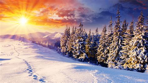 Pictures and wallpapers for your desktop. Cozy Winter Scenes Wallpaper (41+ images)