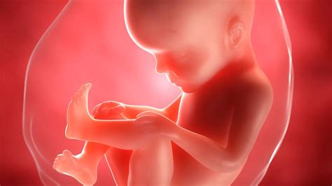 Wann das baby in etwa zur welt kommen wird, können werdende mütter mithilfe von verschiedenen formeln berechnen. Geburtsterminrechner: Wann kommt das Baby?