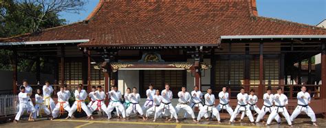 Amateur granny gives a great blowjob. Shotokan, Karate Blumenau, SC. Santa Catarina, SC.: Março 2012