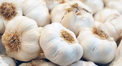 Mengobati penyakit flu dan batuk. khasiat dan manfaat bawang putih - Oh kiji | Sumber Bacaan dan Info menarik