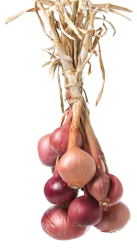 They generally differ from the onions due to. Cooking With Shallots: 3 Simple Shallot Recipes - Real ...
