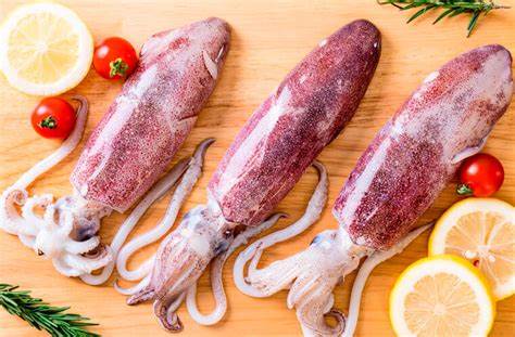 Кальмар диета рецепты Как готовить кальмары – рецепты и советы Как готовить кальмары – рецепты и советы Кальмар диета рецепты