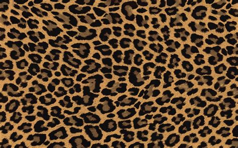 Black brown gold leopard print glitter cellphone wallpaper. Leopard Print Wallpapers HD | Leopard print wallpaper ...