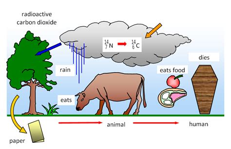 Radiometric dating (often called radioactive dating) is a technique used to date materials, usually based on a comparison between the observed abundance of a naturally occurring there are other radiometric dating techniques as well. schoolphysics ::Welcome::