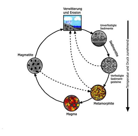 · informationen zum anteil der biogenen mineralverwitterung an der verwitterung von mineralen insgesamt. Kreislauf der Gesteine