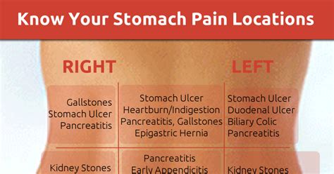 Easily learn common causes of abdominal pain by location and. Anatomical Quadrants / Medical Terminology Part 4_Human ...