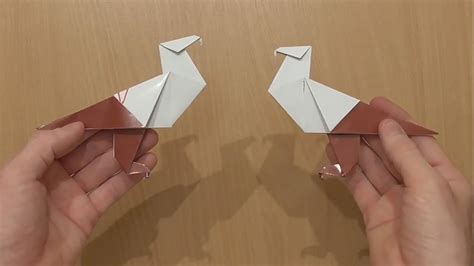 Ini merupakan video tutorial cara membuat origami binatang burung kakak tua macaw. Cara Membuat Origami Burung Elang Yang Mudah