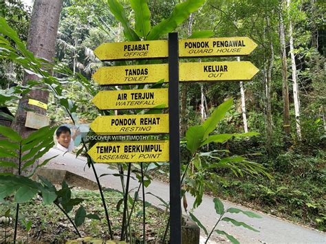 Taman kota jaya pulai baling 3.3 km. Hutan Lipur Gunung Pulai Recreational Forest, Kulai ...