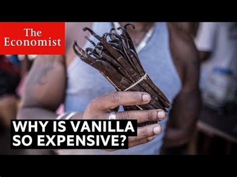 Although basmati rice and jasmine rice are often used interchangeably, there are several key differences to consider next time you reach for this popular side dish. Why is Vanilla so expensive? | econfix