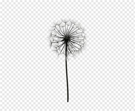 These pictures of this page are about:black and white cactus sketch. white dandelion illustration, Paper Drawing Poster ...