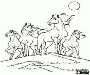 A herd of wild horses coloring book * * * * herd of wild horses on the prairie coloring page. Herd of wild horses on the prairie coloring page | Horse ...