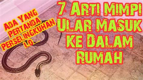 Salah satunya adalah mimpi dikejar ular. DOWNLOAD: 7 Arti Mimpi Ular Masuk Rumah | Nomor 3 Pertanda ...