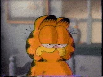 Lift your spirits with funny jokes, trending memes, entertaining gifs, inspiring stories, viral videos, and so much. garfield GIFs | Find, Make & Share Gfycat GIFs