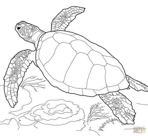 Check spelling or type a new query. 21+ Wonderful Image of Sea Turtle Coloring Page - birijus.com