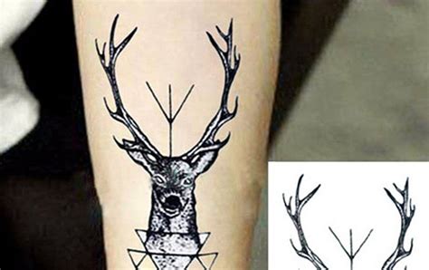 Misalnya saja seperti mickey mouse, spongebob, nemo, dan lain sebagainya. Paling Keren 28+ Contoh Gambar Tato Kartun Sonic