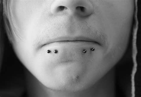 2 on the left and 2 on the right, so called double snake bites piercing) Shark Bites Piercing Pictures, Healing, Cost and Jewelry ...