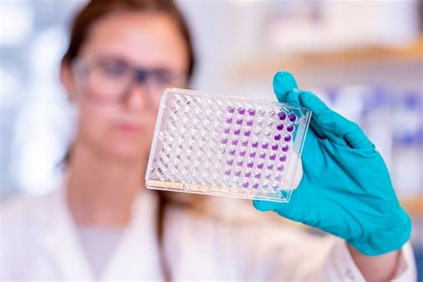 1.half dose or full dose? COVID-19 Vaccine AstraZeneca safe and effective in primary ...