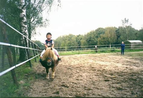 Details van kleurplaat paard kleurplaten paarden paardrijden. Peuters laten paardrijden? • Bokt.nl