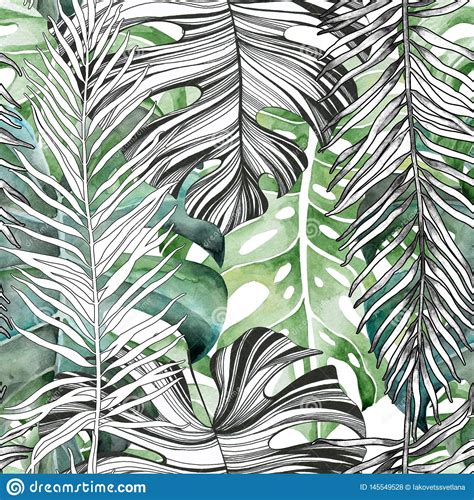 Summer Tropical Pattern Of Monstera Leaves. Watercolor Drawing. Stock Illustration ...