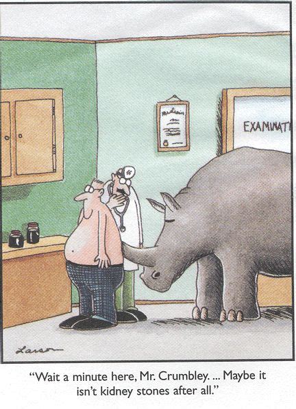 Kidney stones are a common cause of blood in the urine and pain in the kidney stones occur in 1 in 20 people at some time in their life. The Far Side: Wait a minute here, Mr. Crumbly. Maybe it ...