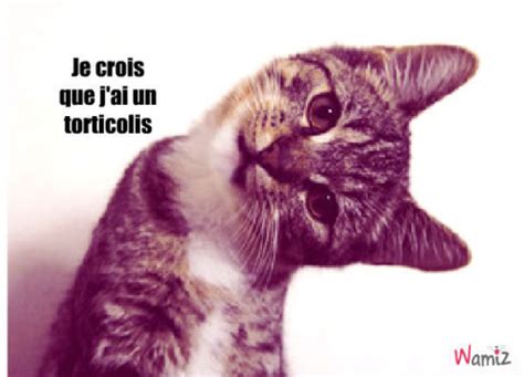 Some causes of acquired torticollis include: Se débarrasser d'un torticolis en moins de 10 secondes