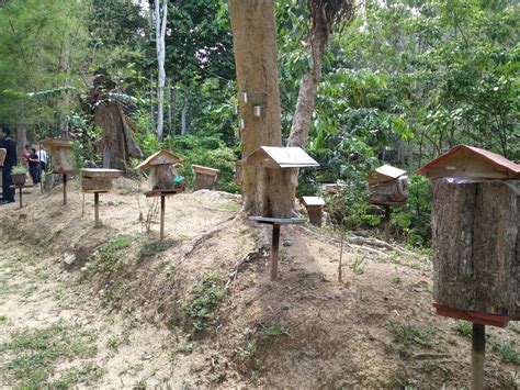 They called them kelulut in malaysia. E-Wen Hooi: Stingless Bee Farm @ Bentong