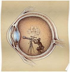Toutes vos lunettes, lentilles de contact, produits d'entretien ou piles pour appareils auditifs en france, au. Visualizar Cupom - Varilux em Dobro Essilor | Receita de ...