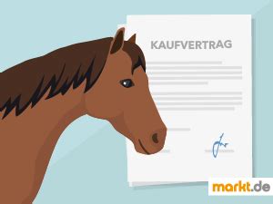 Hier gibt's eine kaufvertrag vorlage & muster für die schweiz im word format ✓ kostenloser download. Musterverträge: Kostenlose Verträge und Vorlagen | markt.de