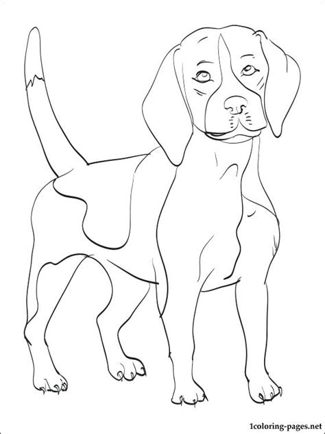 More 100 coloring pages from animal coloring pages category. Rottweiler Coloring Pages at GetColorings.com | Free ...