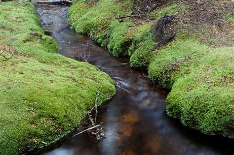 It can be also be obtained by lumbering ash trees. Goblin Cave Streaming : Holiday Tour Travels / I just got ...