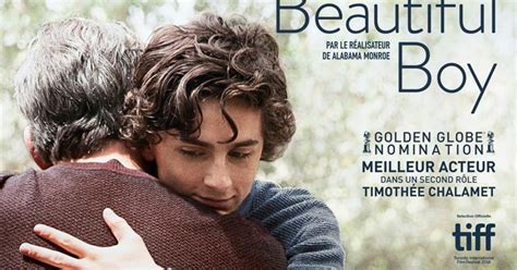 Beautiful boy (2018) cast and crew credits, including actors, actresses, directors, writers and more. My Beautiful Boy (2018), un film de Felix Van Groeningen ...