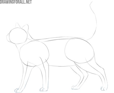 How to draw a cat. how to draw a cat easy but realistic | Drawingforall.net