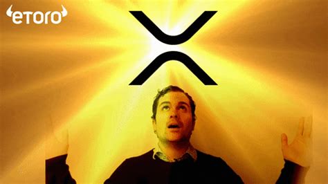 Xrp training is available as online live training or onsite live training. Ripple Xrp GIF by eToro - Find & Share on GIPHY
