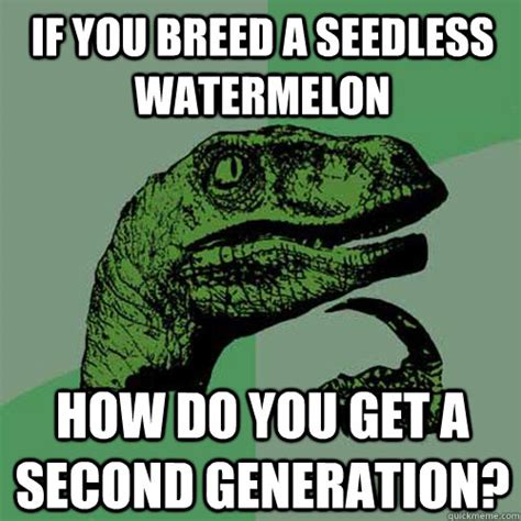 Then, the pollen from a diploid is placed on the female flower of the plant with 44 chromosomes. If you breed a seedless watermelon How do you get a second ...