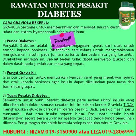 Ujung dari daun ini lancing dengan tekstur permukaan daun yang kasar dan melengkung ke dalam. DURIAN BELANDA KHASIAT TERHEBAT: KENCING MANIS