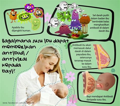 Cara menyusui bayi menjadi hal yang penting untuk di mengerti oleh para ibu. Breastfeeding Tips 3 - cara menyusu bayi - Inspirasi Huda ...