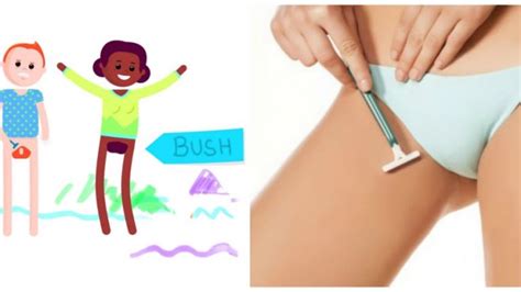Ready to learn how to shave your pubic hair the right way? VIDEO: Here's why you should never shave your pubic hair ...