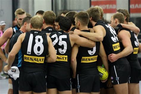 Space to play or pause, m to mute, left and right arrows to seek, up and down arrows for volume. Huddle Port Adelaide Football Club | Football club, Afl, Footy